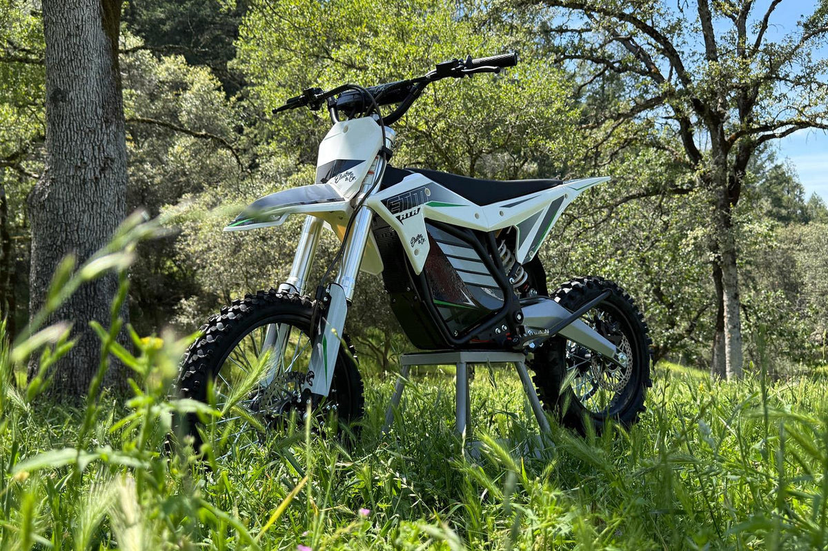 Electro & Co ETM RTR XL – Electric Pit Bike