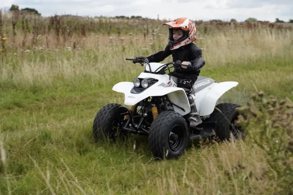 Quadzilla R100 – gallery view 4