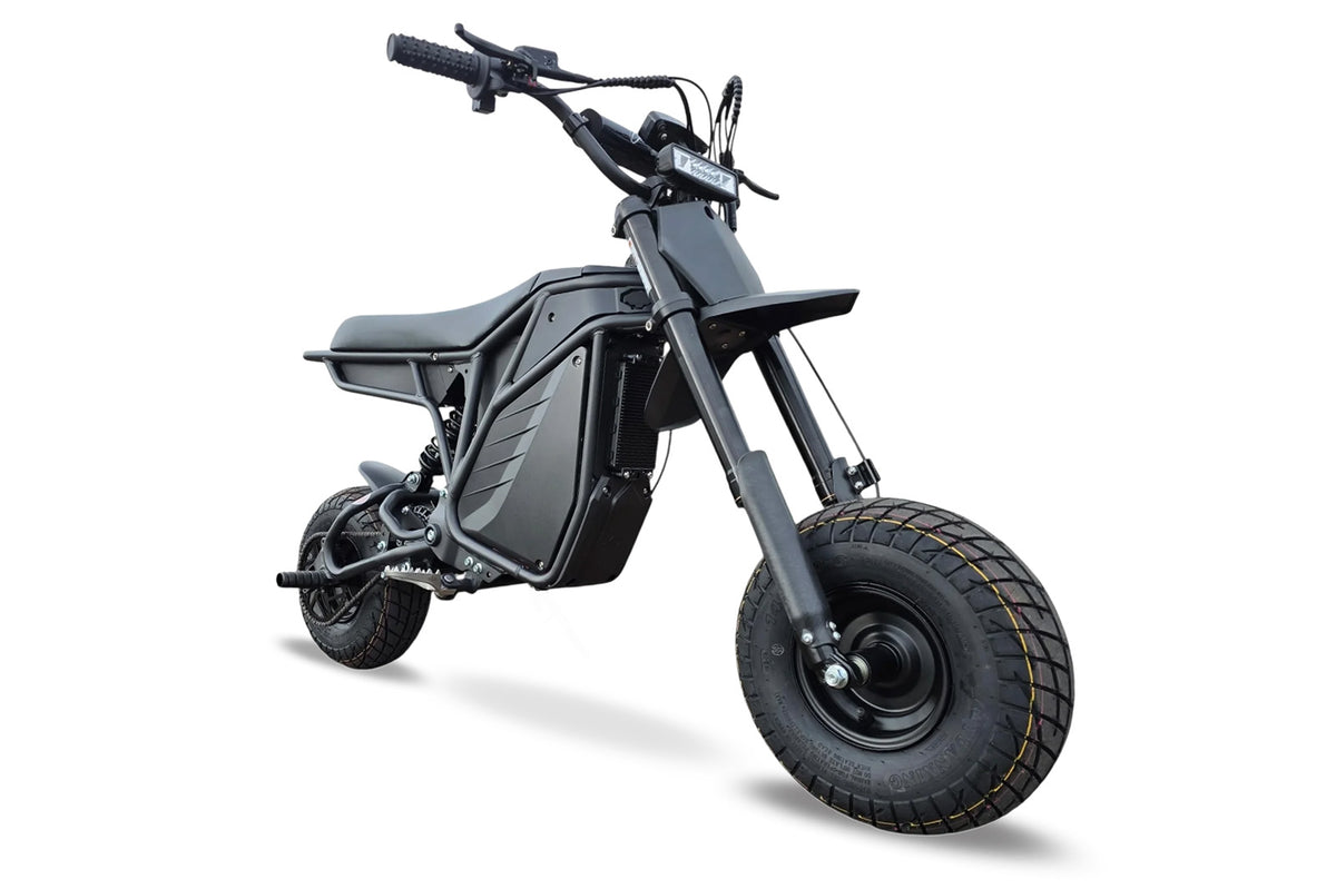 Electro & Co The Rizzler – Electric Minibike
