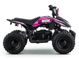 EBOX ACDC Electric ATV