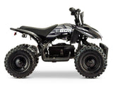 EBOX ACDC Electric ATV
