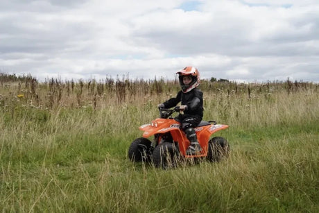 Quadzilla Buzz 50 – gallery view 6