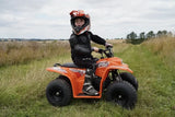 Quadzilla Buzz 50 – gallery view 4