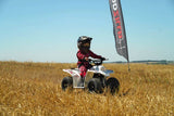 Quadzilla Buzz 50 – gallery view 7