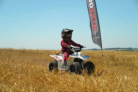 Quadzilla Buzz 50 – gallery view 7
