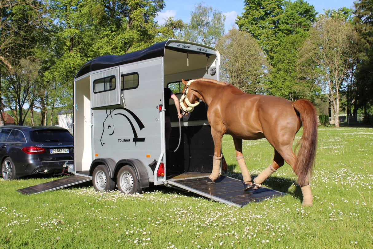 Cheval Liberte Touring One Single Horse Box Trailer Mare And Foal