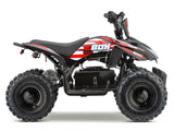 EBOX ACDC Electric ATV
