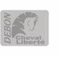 Hologram sticker – CZ000869