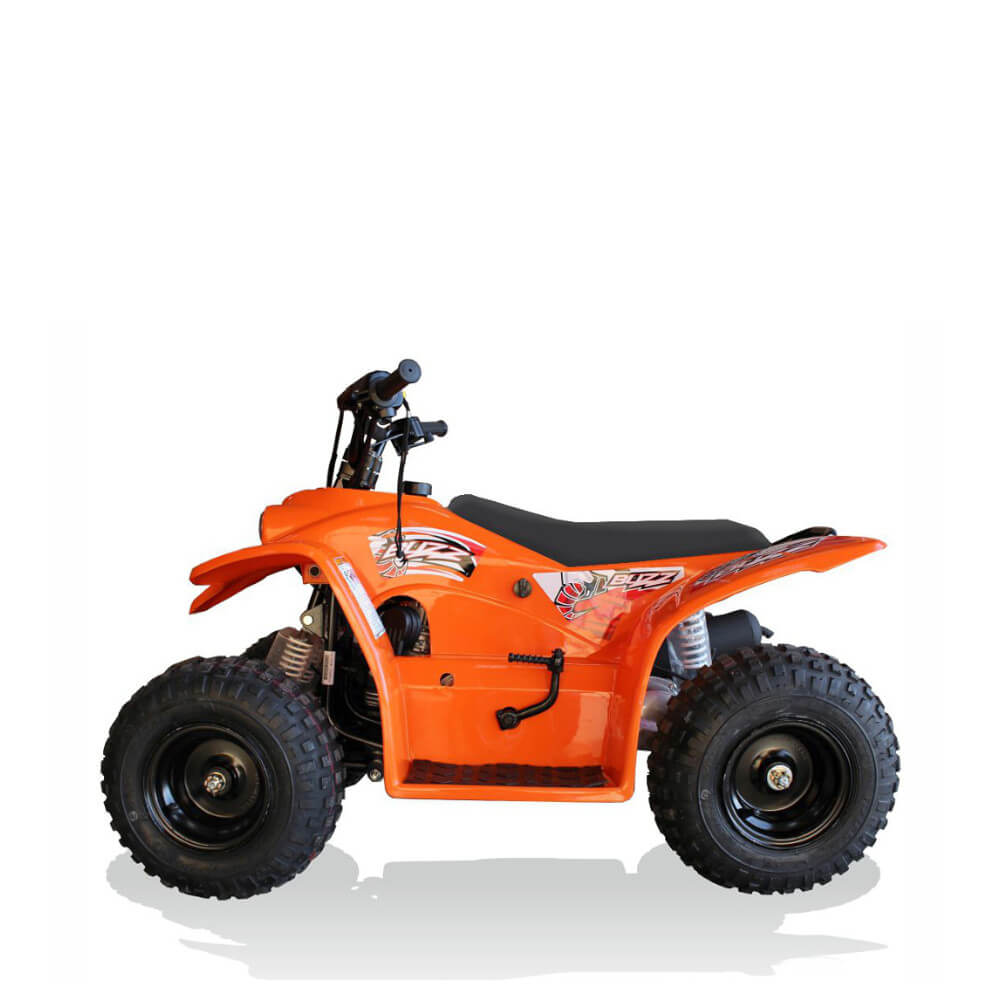 Quadzilla Buzz 50 – gallery view 3