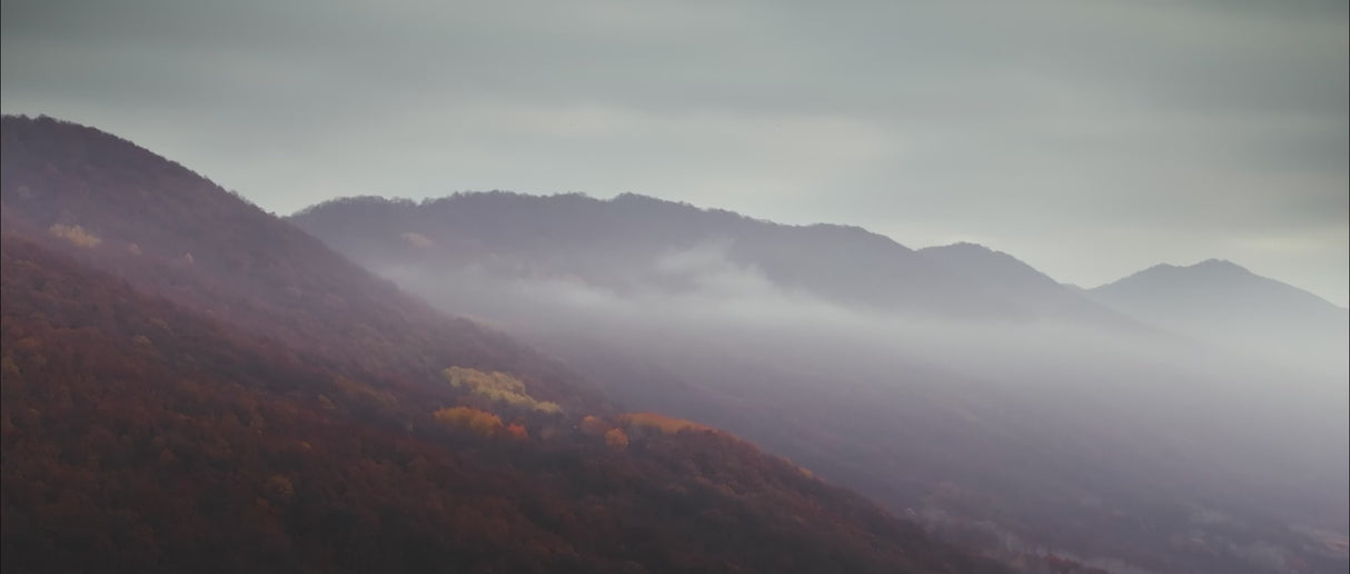 2026 CFMOTO CFORCE 1000 MV ATV Quad Bike