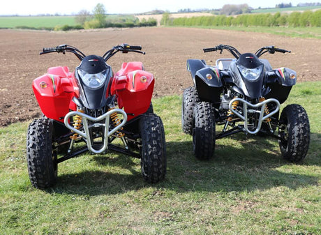 Quadzilla Stinger 100 – gallery view 5